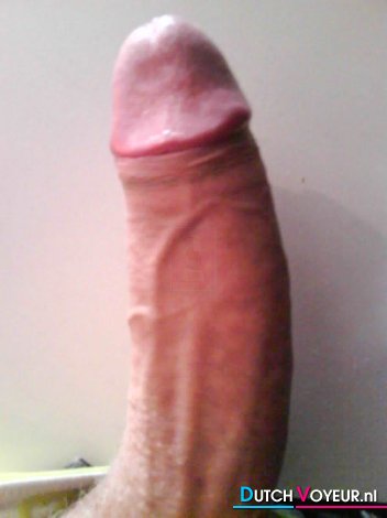 half styf