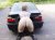 BMW with a nice ass