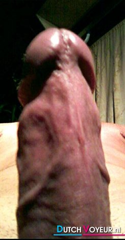 TOTEM POLE