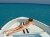 Naked on a Boat 4