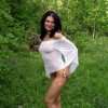 Nature. in the woods