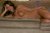 the tender buttocks