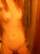 bare juin