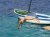 Toples woman dives into the water