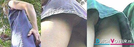 pal: D