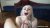 Skinny Blonde’s Cumshot Blowjob