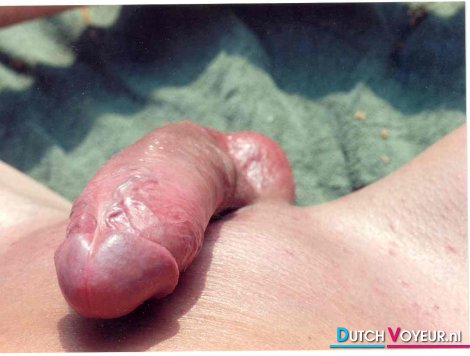my cock