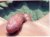 my cock
