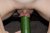 gosh a cucumber 8