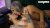 Hot Lesbians Sensually Kissing and Titty Licking