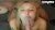 Slut Blonde Babe Sloppy Dildo Sucking on Cam