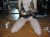 the exposed bare lover! , P