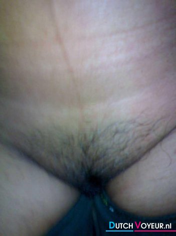 bush!