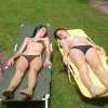 Delicious are sunbathing in the backyard