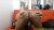 Cute Shemale Long Hair Tight Asshole Playing On Cam