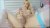 Blonde Ts Goddess Masturbating On Live