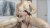 Latino BF deepthroating Blonde shemale dick