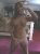 This horny teen