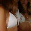 the voluptuous companion ...
